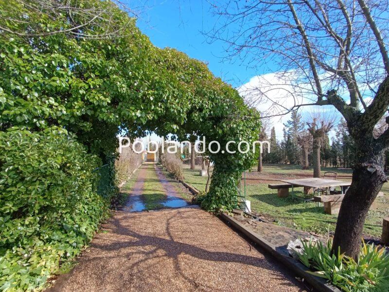 Casa campo con parcela 14000m, cerca de núcleo urbano