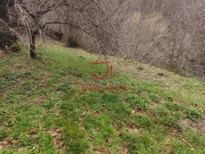 Casa con finca en Riosa (Lena)