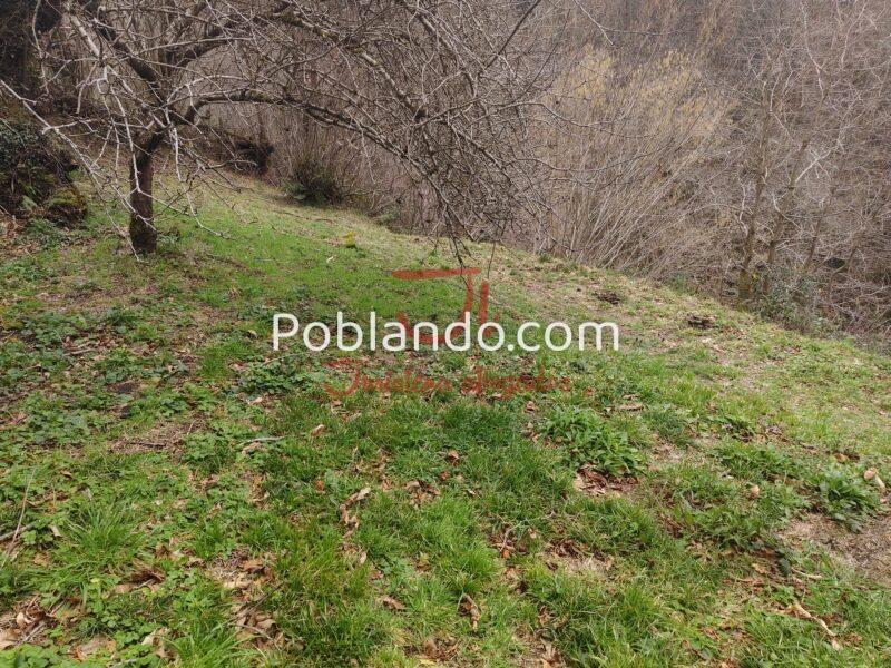 Casa con finca en Riosa (Lena)