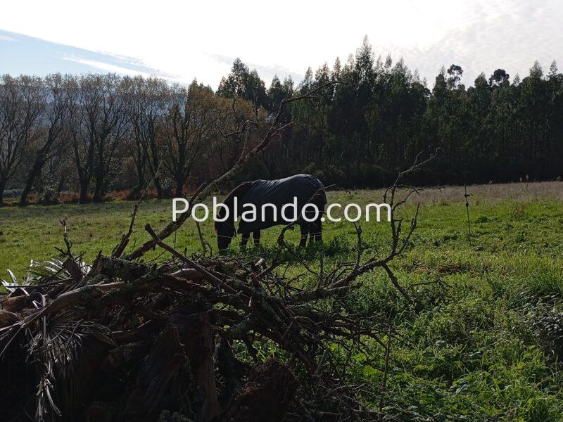 Un Terreno con finca en ruinas