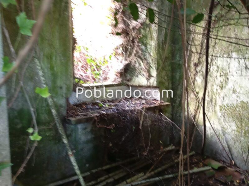 Un Terreno con finca en ruinas