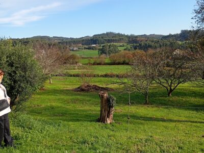 Un Terreno con finca en ruinas