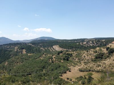Vendo finca forestal y ganadera 128 Ha en Linares De Mora