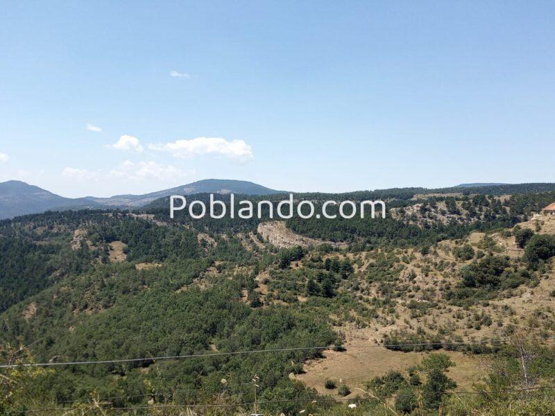 Vendo finca forestal y ganadera 128 Ha en Linares De Mora