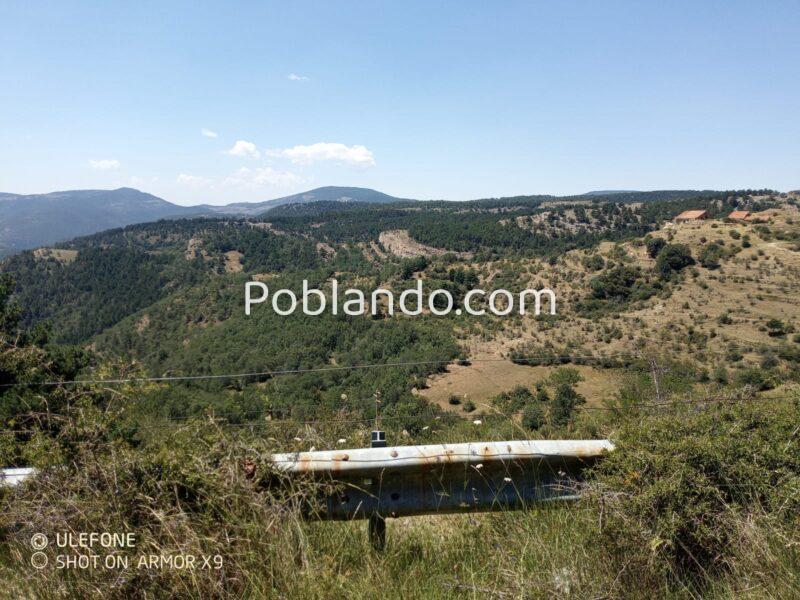 Vendo finca forestal y ganadera 128 Ha en Linares De Mora