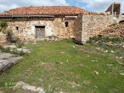 Vendo finca forestal y ganadera 128 Ha en Linares De Mora