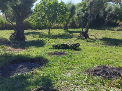 casa pueblo mas terreno