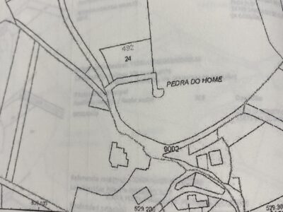 FINCA DE PINAR MADERABLE EN A PEDRA DO HOME
