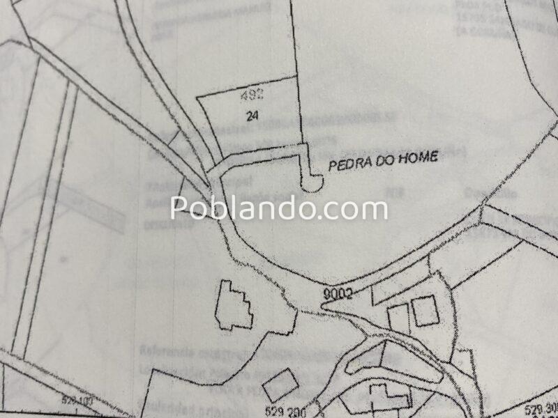 FINCA DE PINAR MADERABLE EN A PEDRA DO HOME