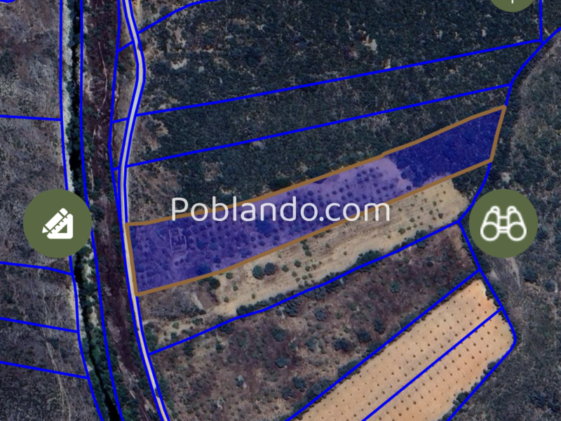 Fantástica finca 15500 metros y licencia para casa 310 metros