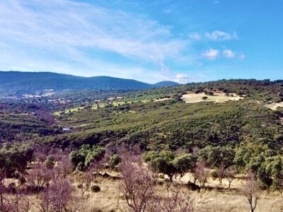 Fantástica finca 15500 metros y licencia para casa 310 metros