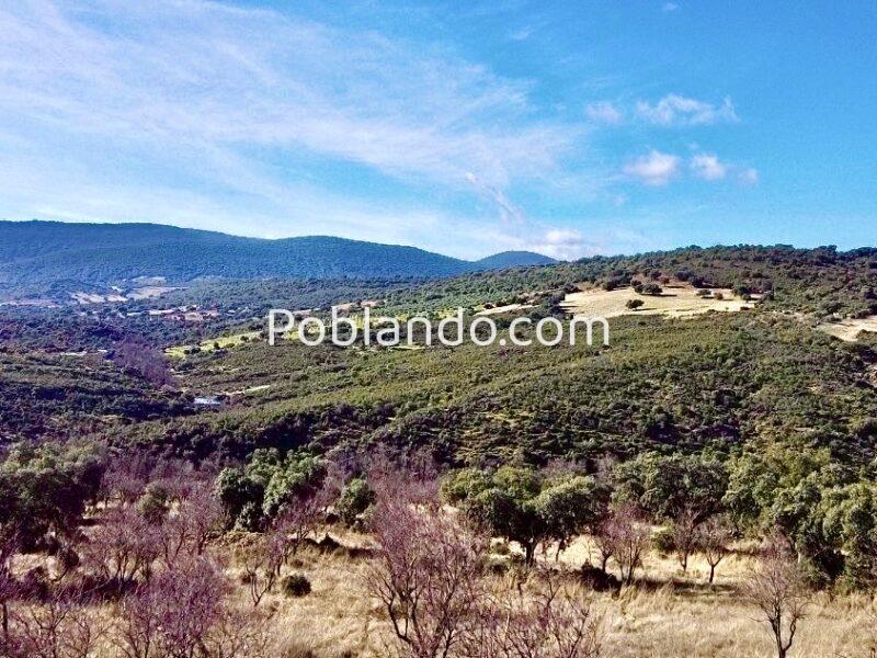 Fantástica finca 15500 metros y licencia para casa 310 metros