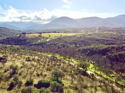 Fantástica finca 15500 metros y licencia para casa 310 metros