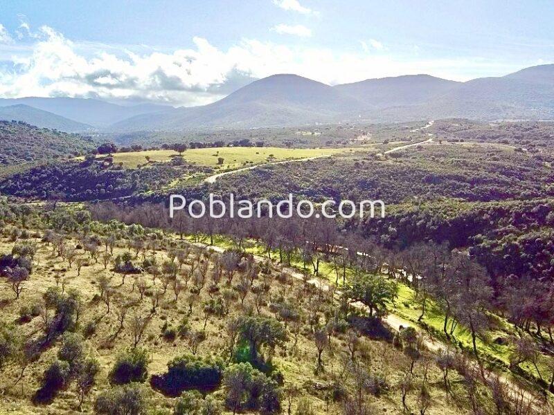 Fantástica finca 15500 metros y licencia para casa 310 metros