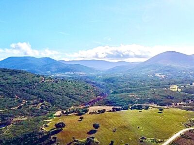 Fantástica finca 15500 metros y licencia para casa 310 metros