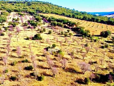 Fantástica finca 15500 metros y licencia para casa 310 metros