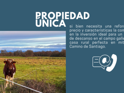 GRAN OPORTUNIDAD RURAL GALLEGO - Casa con Finca cerca de Allariz - Camino de Santiago