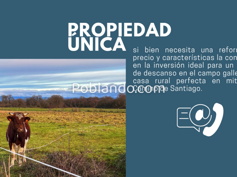 GRAN OPORTUNIDAD RURAL GALLEGO - Casa con Finca cerca de Allariz - Camino de Santiago