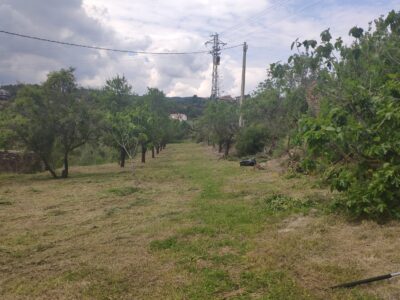 Encantadora finca rústica con piscina y gran parcela a 5 minutos andando del centro
