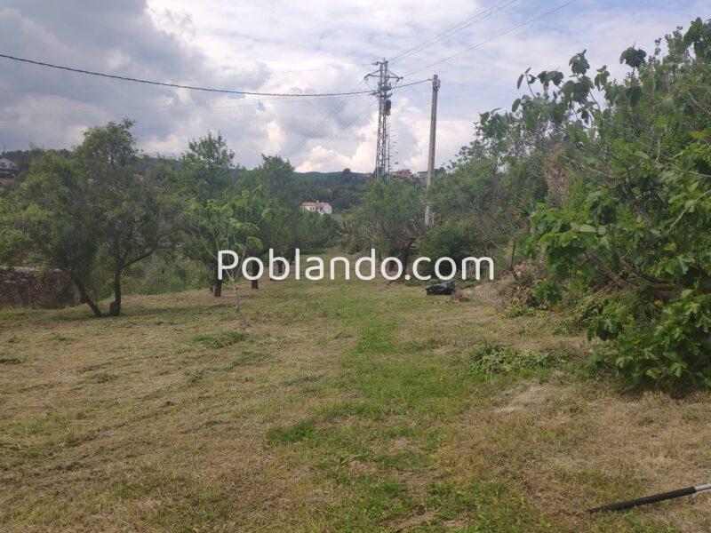 Encantadora finca rústica con piscina y gran parcela a 5 minutos andando del centro