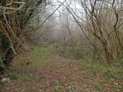 FINCA RÚSTICA CON HÓRREO Y CASA DE PIEDRA A REHABILITAR