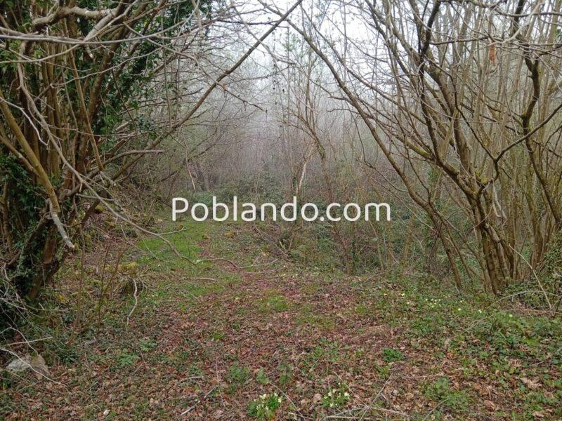 FINCA RÚSTICA CON HÓRREO Y CASA DE PIEDRA A REHABILITAR