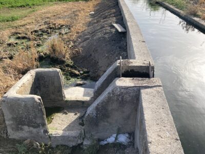 Finca agrícola de regadío en la vega de Granada