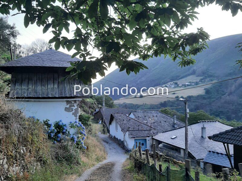 Auténtica casa de aldea asturiana de 1880, reformada y habitable. ¡Precio negociable!