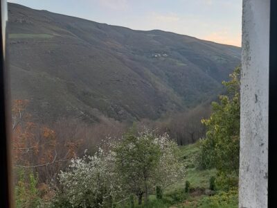 Auténtica casa de aldea asturiana de 1880, reformada y habitable. ¡Precio negociable!