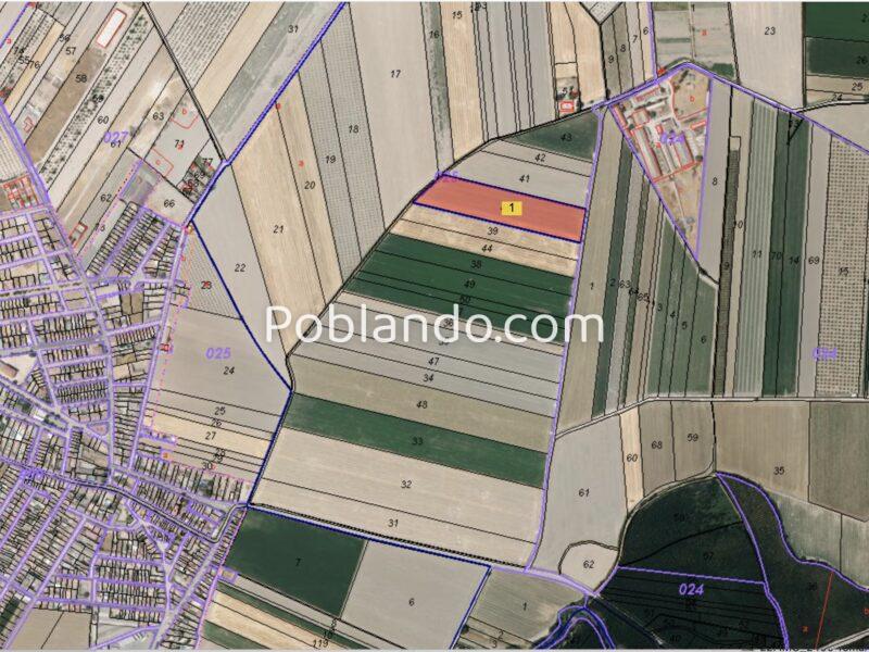 Finca agrícola de regadío en la vega de Granada