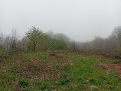 FINCA RÚSTICA CON HÓRREO Y CASA DE PIEDRA A REHABILITAR