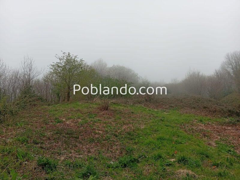 FINCA RÚSTICA CON HÓRREO Y CASA DE PIEDRA A REHABILITAR