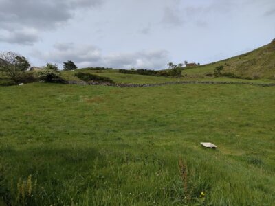 FINCA RÚSTICA CON CABAÑA DE PIEDRA EN ASTURIAS