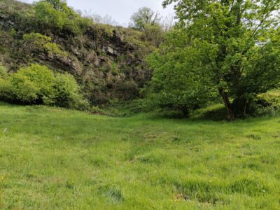 FINCA RÚSTICA CON CABAÑA DE PIEDRA EN ASTURIAS