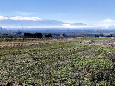 Venta de secano productivo con excelente acceso
