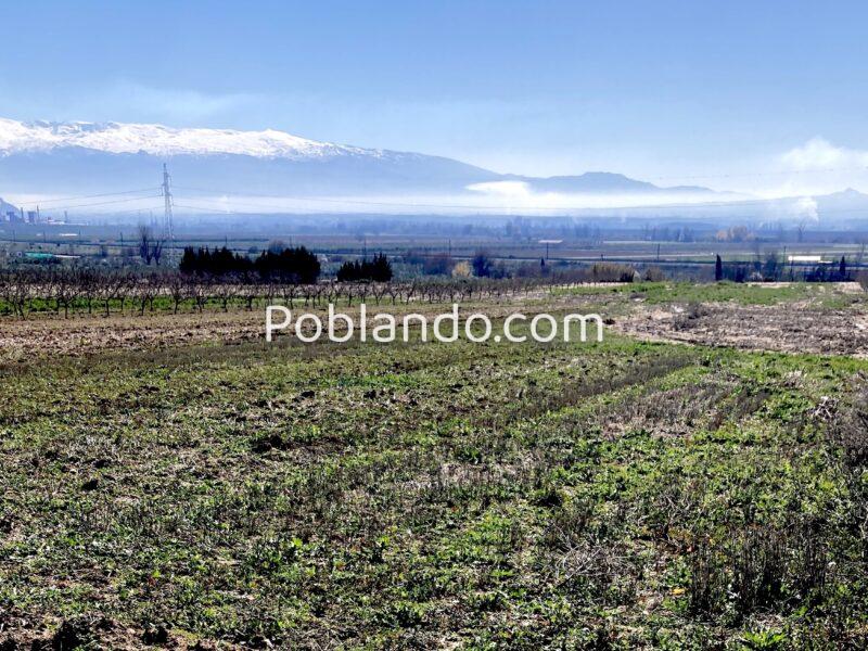 Venta de secano productivo con excelente acceso