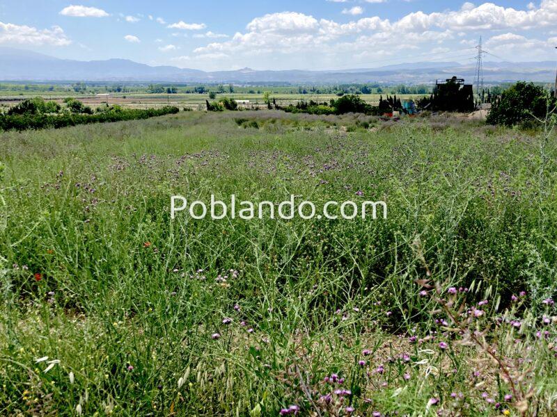 Venta de secano productivo con excelente acceso