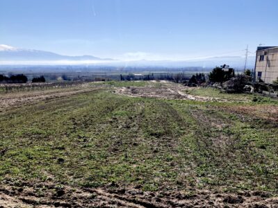 Venta de secano productivo con excelente acceso