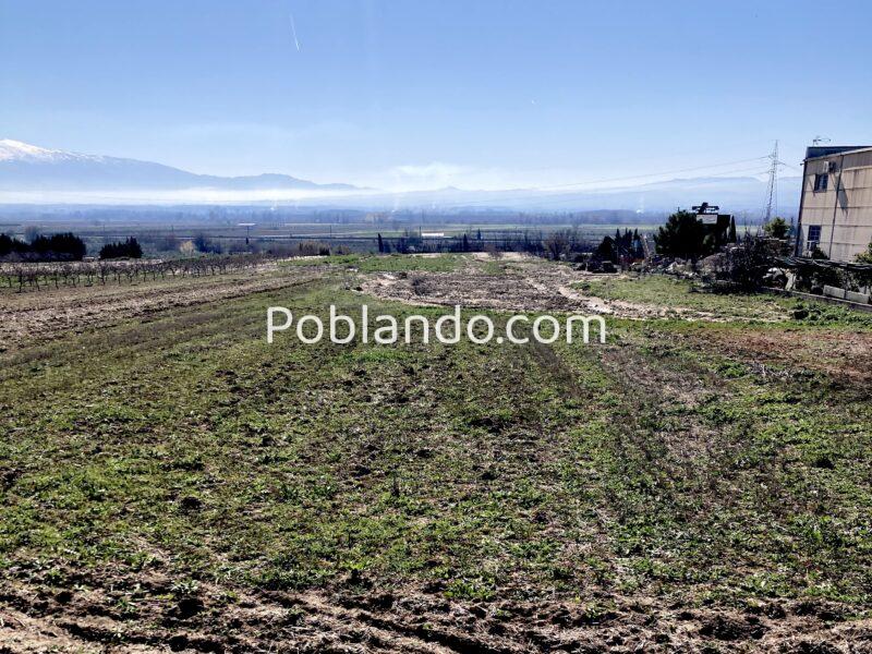 Venta de secano productivo con excelente acceso