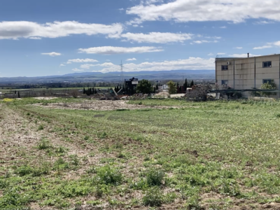 Venta de secano productivo con excelente acceso