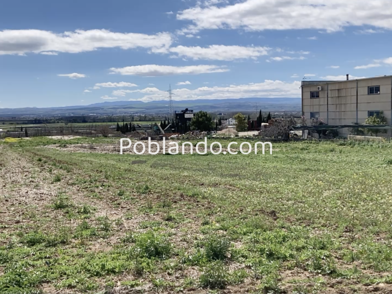 Venta de secano productivo con excelente acceso