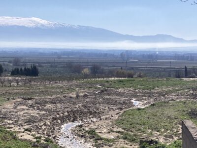 Venta de secano productivo con excelente acceso