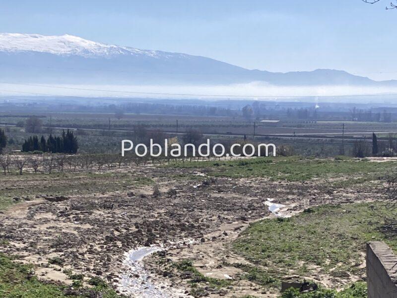 Venta de secano productivo con excelente acceso
