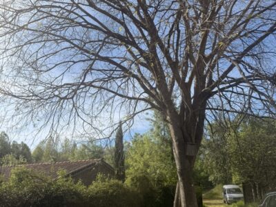 Conjunto De Casa Y Sequeros Legalizados plena naturaleza – El Raso (Cáceres/Ávila)