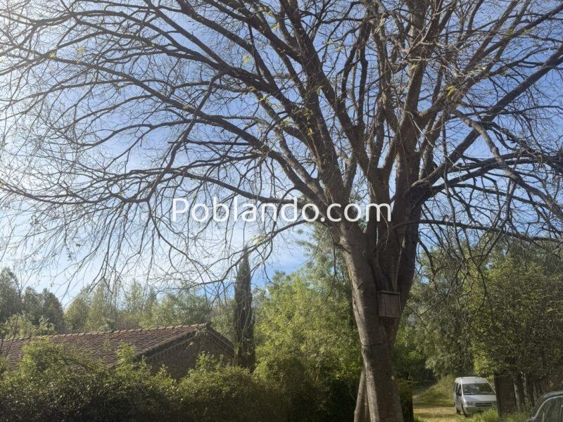 Conjunto De Casa Y Sequeros Legalizados plena naturaleza – El Raso (Cáceres/Ávila)