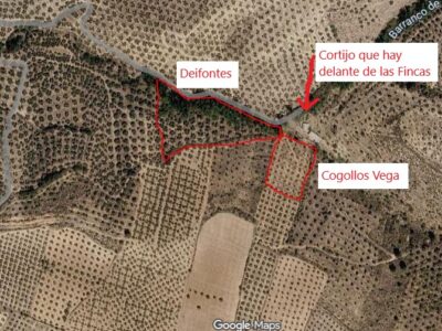 Venta 2 Fincas Deifontes y Cogollos Vega