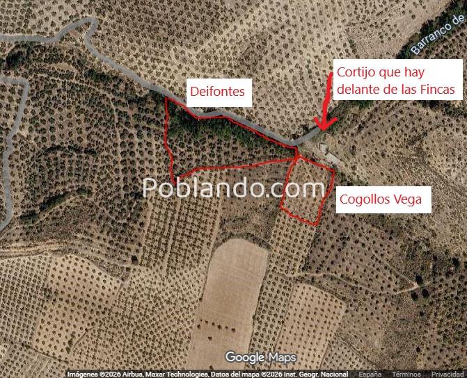 Venta 2 Fincas Deifontes y Cogollos Vega