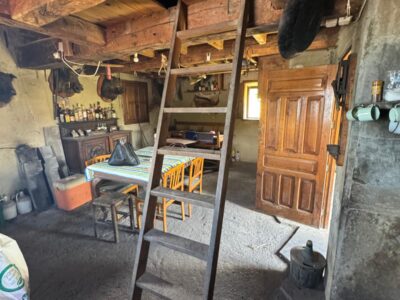 🏔️ ¡OCASIÓN ÚNICA EN ASTURIAS! CABAÑA RURAL CON FINCA DE 8.500 M