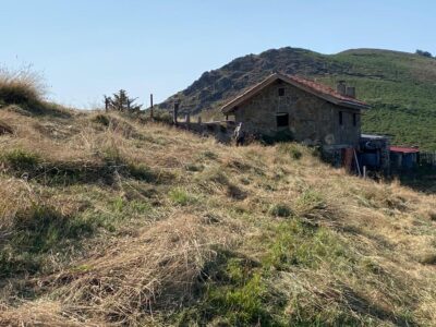 🏔️ ¡OCASIÓN ÚNICA EN ASTURIAS! Cabaña Rural con Finca de 8.500 m² en Mayáu Espines (Moreda)