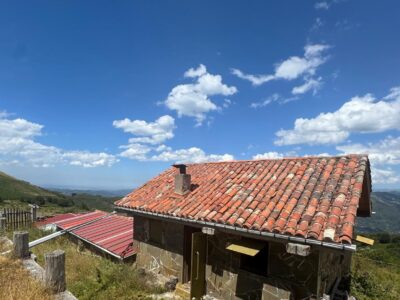🏔️ ¡OCASIÓN ÚNICA EN ASTURIAS! CABAÑA RURAL CON FINCA DE 8.500 M
